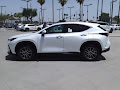 2025 Lexus NX 250 Premium