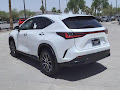 2025 Lexus NX 250 Premium