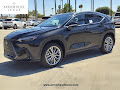 2025 Lexus NX 350 Luxury