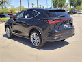 2025 Lexus NX 350 Luxury