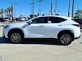 2026 Lexus NX 450h+ Luxury