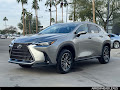 2026 Lexus NX 350h Premium