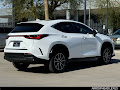 2026 Lexus NX 350h Premium