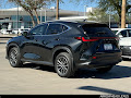 2023 Lexus NX 250 Premium
