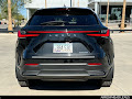2023 Lexus NX 250 Premium