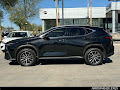 2023 Lexus NX 250 Premium