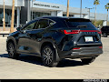 2023 Lexus NX 250 Premium