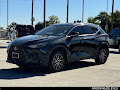 2023 Lexus NX 250 Premium