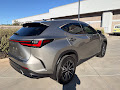 2023 Lexus NX 350h Premium
